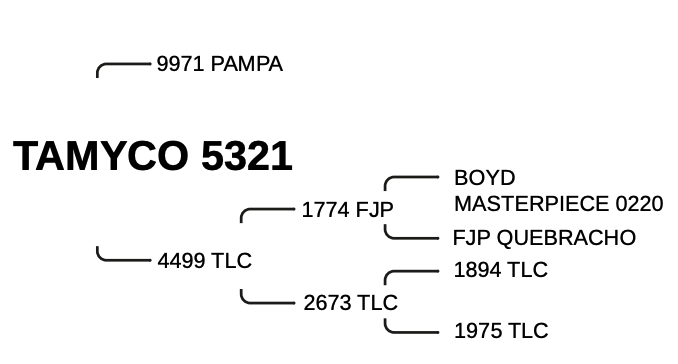 TAMYCO 5321 – “PALMAR”